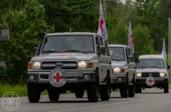 В Україну повернули ще 1200 тіл загиблих цивільних і військових українців