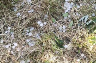 Київ засипало градом під час грози: фото, відео
