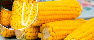 Консервована кукурудза на зиму – як свіжа! Зберігайте рецепт!