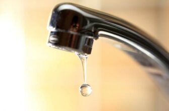 “Дядьку Вово, подаруйте нам воду – це найпростіше диво”: Діти на окупованій Донеччині звернулися до Путіна (відео)