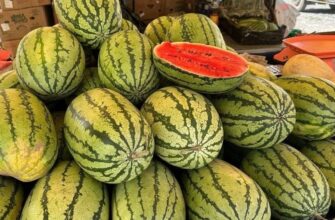 Ціни на кавуни в Україні впали: скільки зараз коштує кілограм