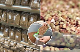 Як відрізнити українську гречку від китайської ще в магазині: три важливі нюанси