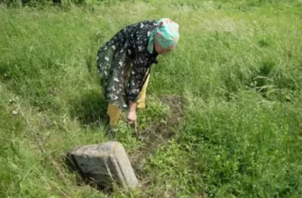 “Кажуть, це велика честь – жити на такому місці”: На подвір’ї жительки Вінниччини з-під землі почали з’являтися надгробки (фото, відео)
