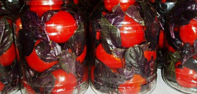 Мариновані помідори з базиліком: неймовірно смачна та ароматна закуска