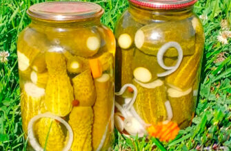 Мариновані огірочки «по-болгарськи» — моя перевірена класика вже понад 10 років!