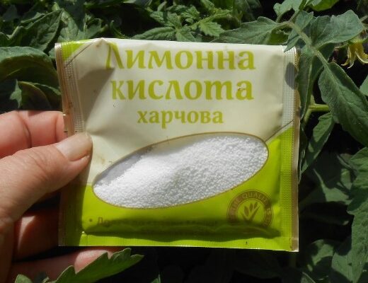Лимонна кислота: після неї овочі почнуть швидко р0сти й не захворіють