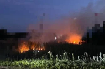 Масовані атаки дронів накривають Росію: транспортний колапс та паніка