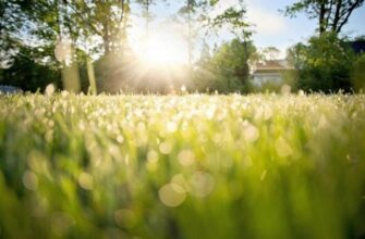 Народні прикмети на 6 липня. Українки дотримувались цих звичаїв століттями… Що не слід робити жінкам цього дня