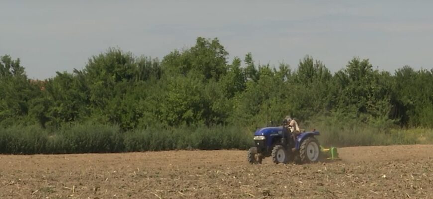 Не здумайте продавати: ціна за паї стрімко падає – скільки дають за гектар