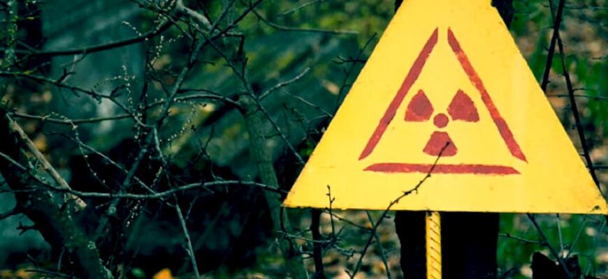 Потрапив рідкісний хижак: у Чорнобильській зоні помітили несподіваного "гостя" – фото