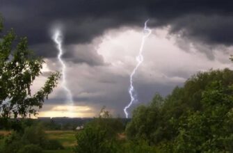 П’ять областей України накриють грозові зливи: синоптик розповів, коли чекати на негоду