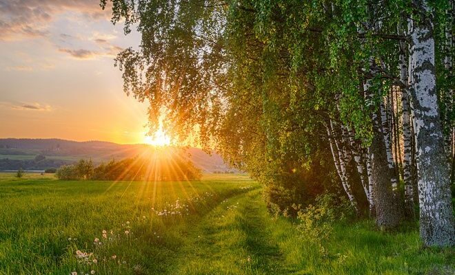 Серпнева прохолода в дії: Якої погоди чекати на Рівненщині