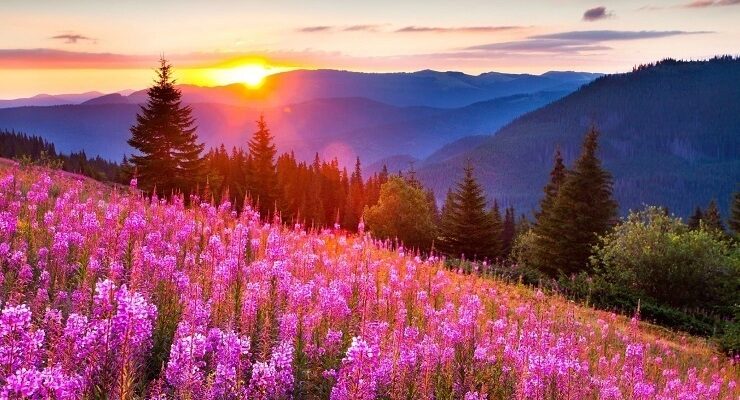 Що треба зробити з грошима 24 липня, щоб притягнути достаток: народні прикмети Що треба зробити з грошима 24 липня, щоб притягнути достаток: народні прикмети