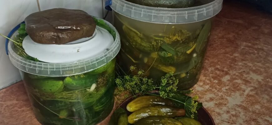 30 років — тільки так! Хрусткі квашені огірочки, як із бабусиної бочки