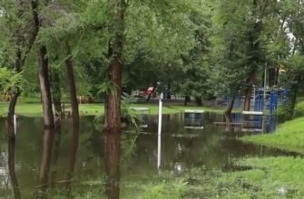Шквальні зливи з градом та спека в +37: синоптик Діденко попередила, що похолодання відміняється на завтра, 17 липня