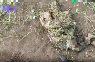 Троє окупантів ховалися під антидроновими плащами, але все одно щось пішло не так (відео)