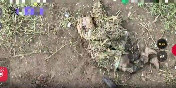 Троє окупантів ховалися під антидроновими плащами, але все одно щось пішло не так (відео)
