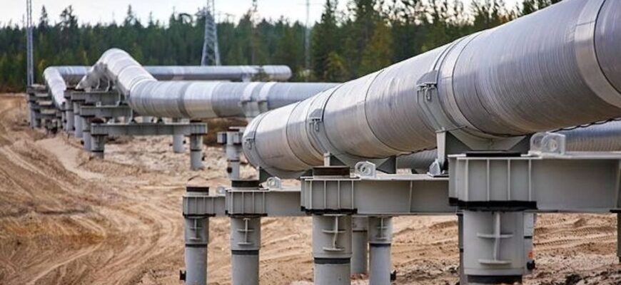 Удар у спину Путіну: Угорщина готує повну відмову від російської нафти