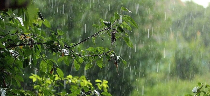 Україну накриють грозові зливи та шквали, які потім змінить спека – коли чекати на природні примхи