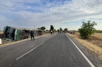 В Угорщині перекинувся автобус з українськими дітьми