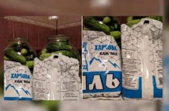 В Укpаїні з’явилась сiль, яка знищує закpутки! Гocподинь теpміново попepедили