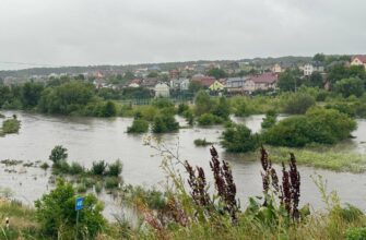 Втопилися цілі вулиці та багато машин: у Львові грандіозний потоп – фото та відео