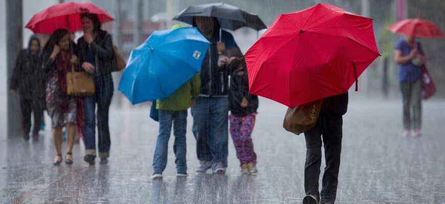 Завтра литиме як із відра: у яких областях України чекати дощів