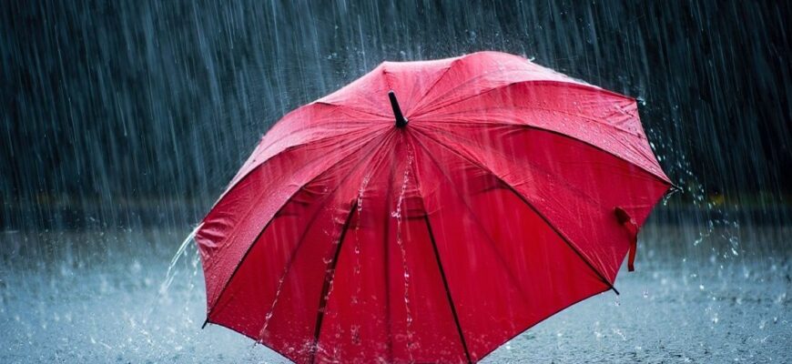 Завтра в Україні знову дощі: які області у п’ятницю заллють зливи з грозами