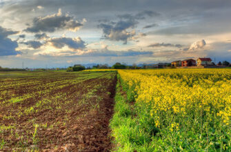 Теплішає втричі швидше: Як в Україні зміниться клімат до 2040 року?