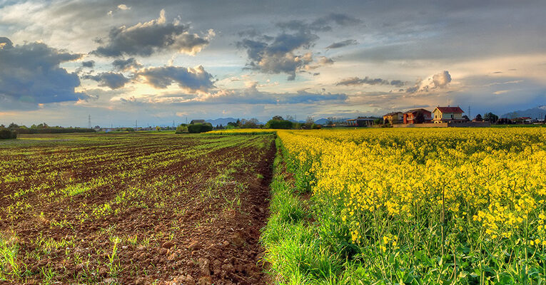 Теплішає втричі швидше: Як в Україні зміниться клімат до 2040 року?