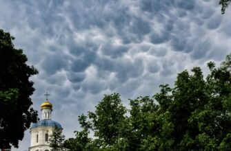 Мольфарка вказала на «знаки», які вказуватимуть на закінчення війни в Україні