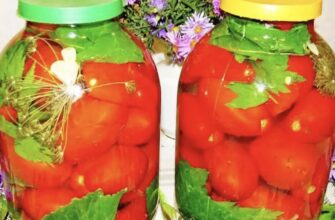 Сама народна закуска! «Квашені помідори» — «Чудо», а не помідори. Правильний рецепт