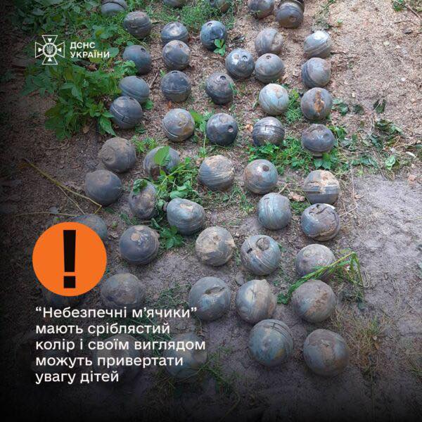 На зображенні може бути: текст