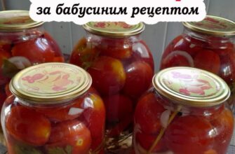 Смак дитинства: Як приготувати квашені помjдори за бабусиним рецептом