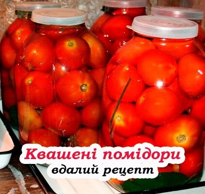 Квашені помідори без зайвого клоnоту: швидкий рецепт на 3-літрову банку