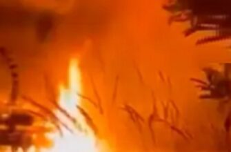 А оcь і “отвєтка” за удaр по Києву! пyтін pве та мeче. Відео