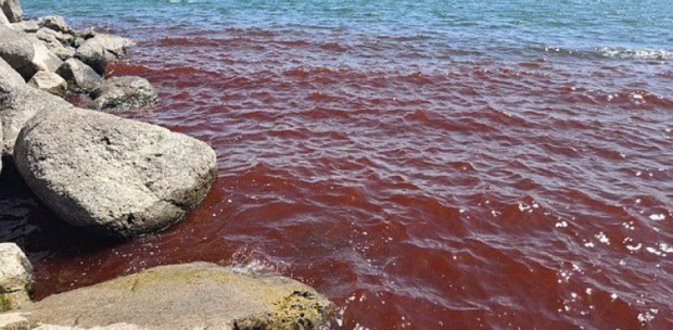 Біблійне пророцтво збувається? Галілейське море стало червоним і жахнуло туристів Біблійне пророцтво збувається? Галілейське море стало червоним і жахнуло туристів