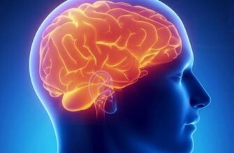 Хочете мозок, як у 20 років? Дослідження дає простий рецепт