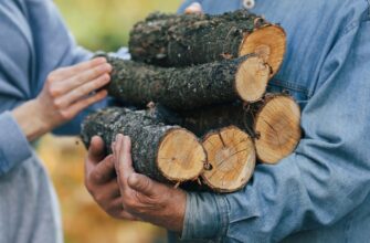 Ці дрова горять найдовше: експерт розкрив, чим вигідніше опалювати будинок