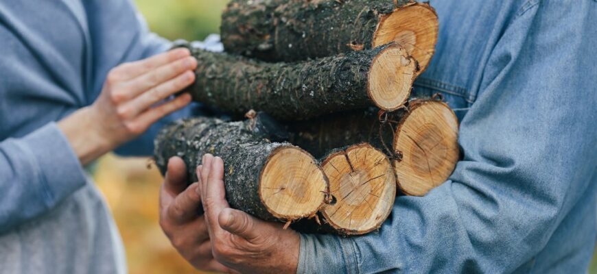 Ці дрова горять найдовше: експерт розкрив, чим вигідніше опалювати будинок