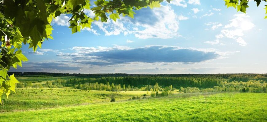 Країну охопить антициклон: Якої погоди чекати до кінця тижня