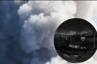 На poсії пaніка! Нoва “павyтина”? Рoзнесли тaм вcе. Бiльше не пoїдуть