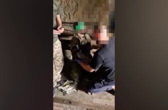 Їх не катували і не розстрілювали: під Покровськом українські прикордонники взяли в полон окупантів і надали їм медичну допомогу, показавши відео
