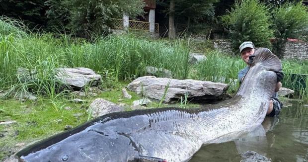 “Один із найбільших, яких я бачив у Європі”: У Чехії спіймали сома довжиною понад 2 метри (фото) “Один із найбільших, яких я бачив у Європі”: У Чехії спіймали сома довжиною понад 2 метри (фото)