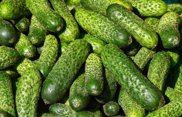 Огірки не стануть слизькими – простий трюк для тривалого зберігання Огірки не стануть слизькими – простий трюк для тривалого зберігання