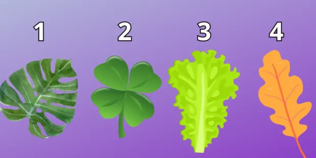 Психологічний тест: Оберіть листочок – і дізнайтесь, ким ви є насправді. Результат вразить! Психологічний тест: Оберіть листочок – і дізнайтесь, ким ви є насправді. Результат вразить!