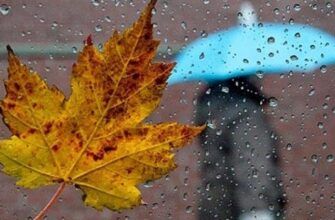 «Одягайтеся щільніше»: Рвучкий вітер і холод очікується в Україні