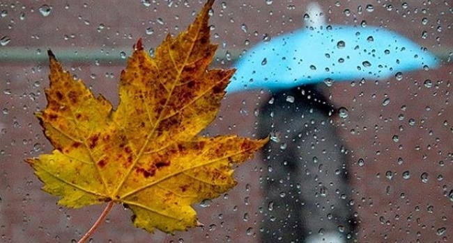 «Одягайтеся щільніше»: Рвучкий вітер і холод очікується в Україні