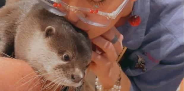 Рятувальники отримали незвичного помічника: Домашню видру навчили шукати зниклих людей у водоймах (фото)