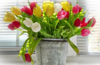 Що додати у воду для квітів, щоб вони не в’яли в вазі – спосіб, що творить дива